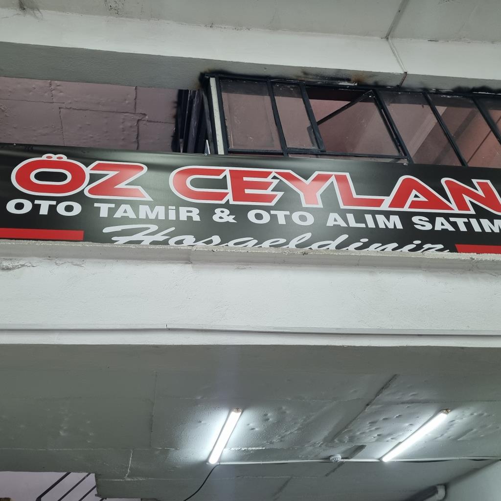 Ali Osman Ceylan