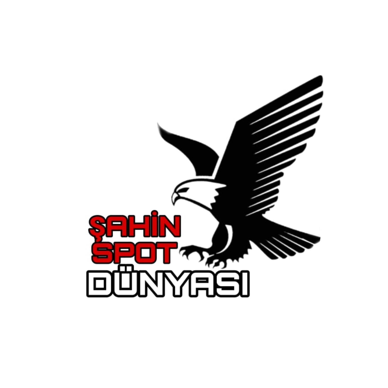 Süleyman Şahin